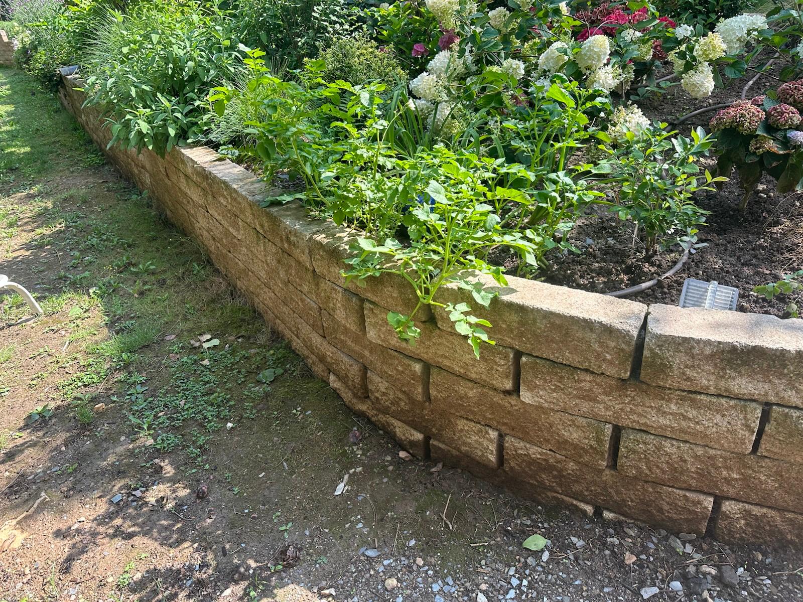 Bepflanztes Hochbeet mit Natursteinmauer
